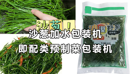 【预制菜系列6】即配类预制菜-沙葱17吃瓜

